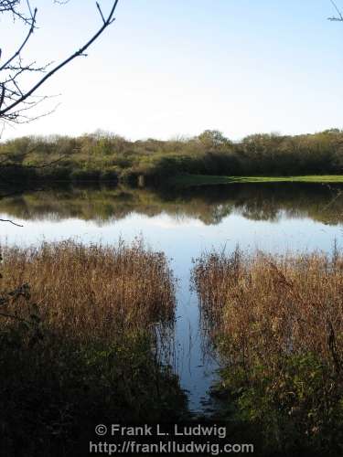 Coole Park, County Galway